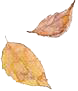 0022.png