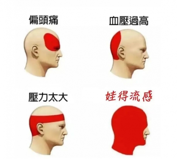 微信圖片_20250304091929.jpg